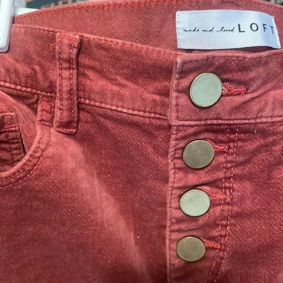 LOFT made & loved by Ann Taylor VELVETY  ROSE PINK CHAMPAGNE - Picture 4 of 6